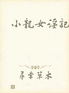小龙女淫记后续
