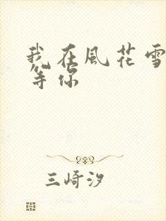 我在风花雪月里等你