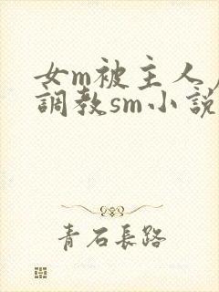 女m被主人虐玩调教sm小说封面