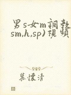 男s女m调教(sm,h,sp)视频