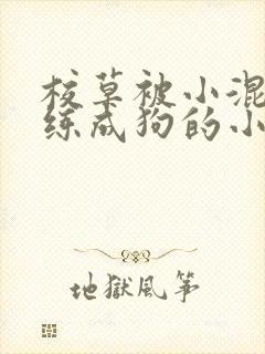 校草被小混混训练成狗的小说