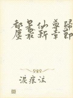 都是仙尊归来洛尘最新章节原版