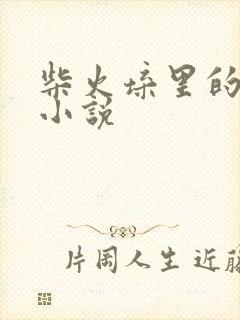 柴火垛里的疯狂小说