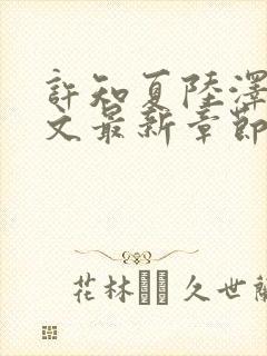 许知夏陆泽言全文最新章节免费阅读封面