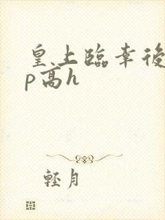 皇上临幸后宫np高h封面