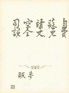 司空靖苏月汐小说全文免费阅读