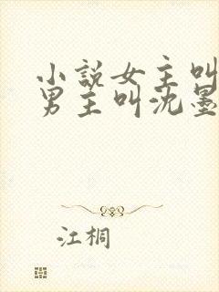 小说女主叫苏桃男主叫沈墨尘