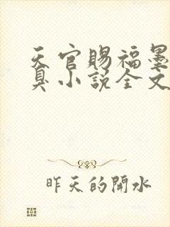 天官赐福墨香铜臭小说全文阅读