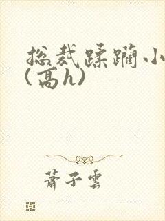 总裁蹂躏小娇妻(高h)