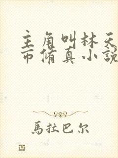 主角叫林天的都市修真小说