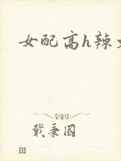 女配高h辣文