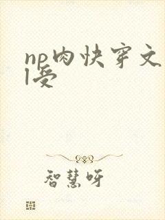 np肉快穿文bl受封面