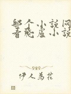 那个小说网站能看飞卢小说封面