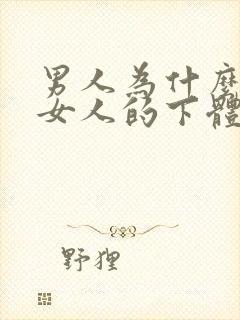 男人为什么喜欢女人的下体封面