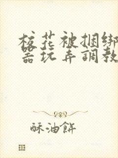 校花被捆绑用性器玩弄调教小说封面