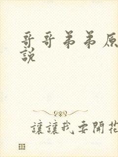 哥哥弟弟原耽小说