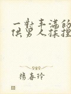 一对丰满的乳房供男人揉捏封面