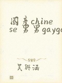 国产chinese 男男gaygay封面