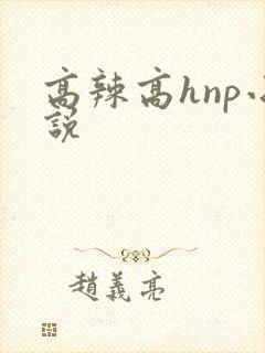 高辣高hnp小说封面