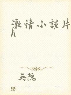 激情小说片段高h