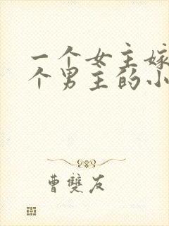 一个女主嫁给多个男主的小说封面