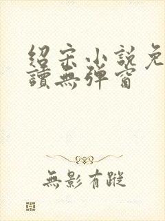 绍宋小说免费阅读无弹窗