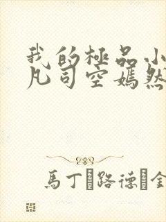 我的极品小姨叶凡司空嫣然