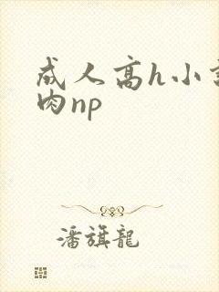 成人高h小说全肉np