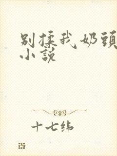 别揉我奶头嗯啊小说