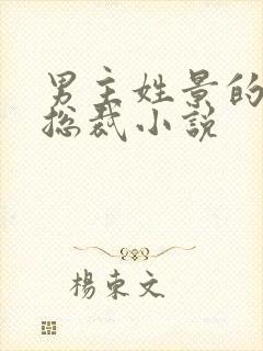 男主姓景的霸道总裁小说