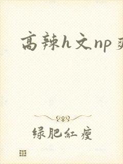 高辣h文np爽