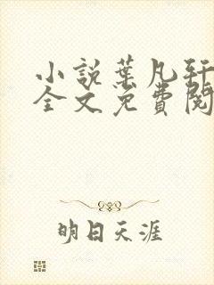 小说叶凡轩雨妃全文免费阅读