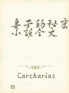 妻子的秘密吴双小说全文