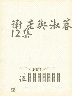 卫老与淑蓉8—12集