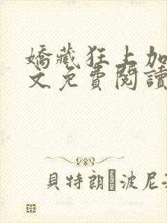 娇藏狂上加狂全文免费阅读笔趣阁