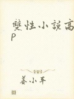 双性小说高hnp