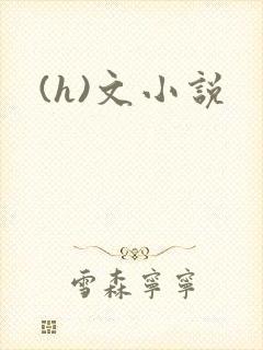 (h)文小说