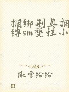 捆绑刑具调教束缚sm双性小说