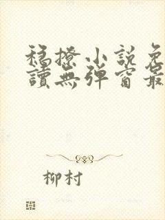 稳撩小说免费阅读无弹窗最新章节