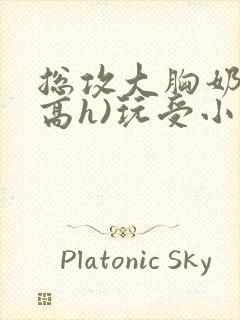 总攻大胸奶汁(高h)玩受小说