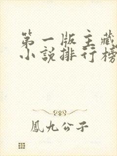 第一版主藏经阁小说排行榜封面