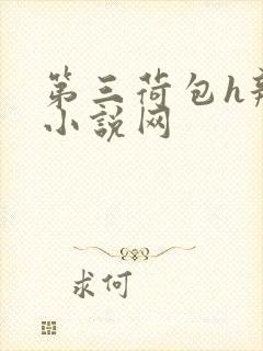 第三荷包h辣文小说网