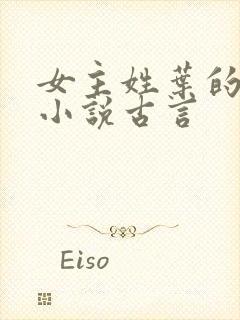 女主姓叶的穿越小说古言封面