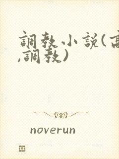 调教小说(高h,调教)
