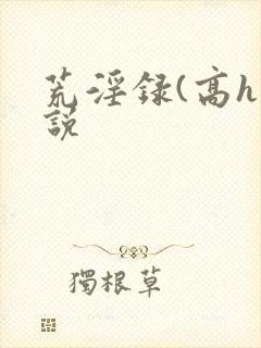 荒淫录(高h小说封面