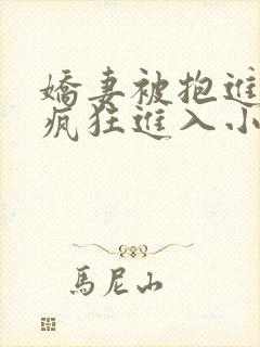 娇妻被抱进卧室疯狂进入小说