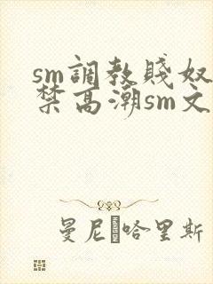 sm调教贱奴失禁高潮sm文封面