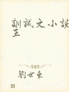 训诫文小说双男主