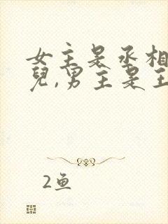 女主是丞相的女儿,男主是王爷封面