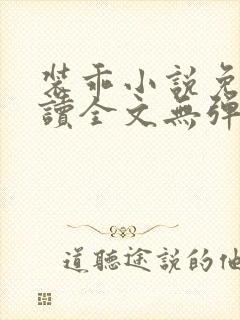 装乖小说免费阅读全文无弹窗封面